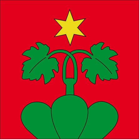 Wartau flag